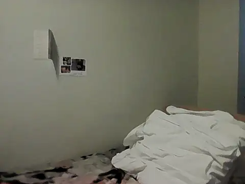 housewife shantie online show from 4, 3, 2026