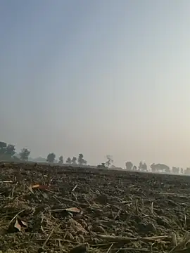 imissyoumylove14 online show from 10, 12, 2024