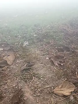 imissyoumylove14 online show from 17, 1, 2026