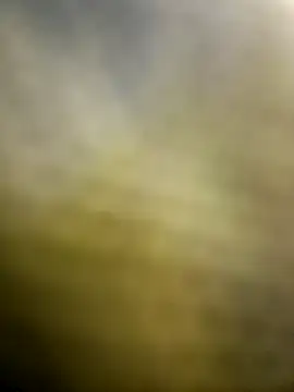 lemon69Reo online show from 15, 7, 2026
