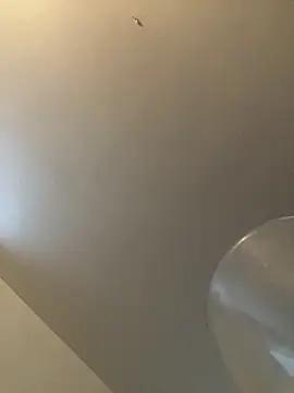 bv7L1h5i6B jNHe online show from 28, 1, 2025