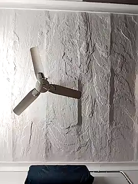 shalini fire online show from 11, 1, 2025