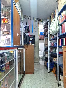 nidia2026 online show from 22, 12, 2025