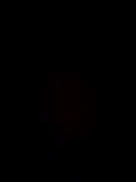 samee00721 online show from 25, 12, 2024