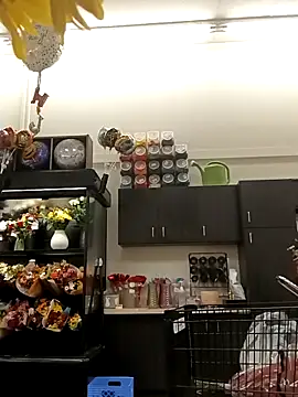 kobrashekyng online show from 20, 10, 2025