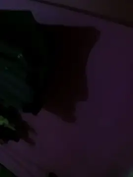 Mastar212 online show from 2, 12, 2025