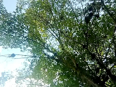 Darly Gomez online show from 15, 3, 2025