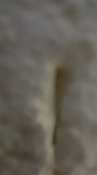 Snapshot of tuty_Tap chatting on 7, 12, 2024 tuty Tap online show from 7, 12, 2024