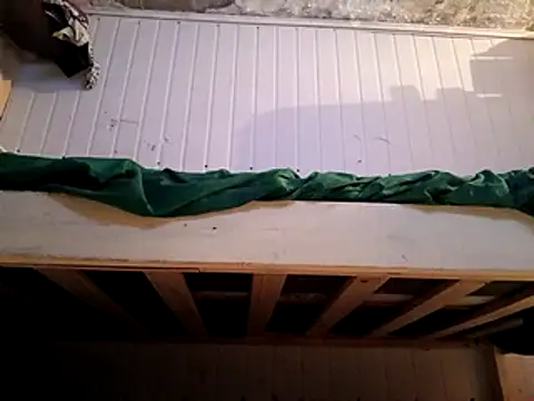 frotasso online show from 16, 2, 2025