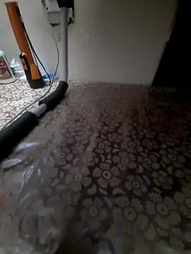 Ritikdesi online show from 14, 3, 2025