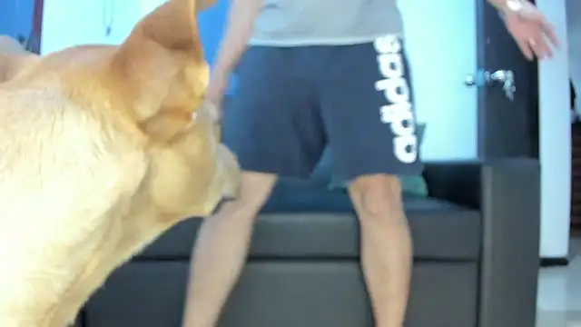 boss of cash online show from 18, 10, 2025