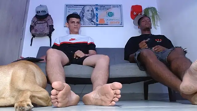 boss of cash online show from 14, 5, 2026