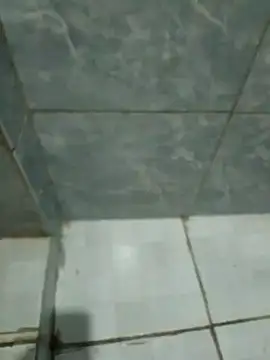 Pretordr online show from 12, 3, 2025