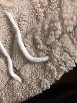 Snapshot of Dominador50T0ns chatting on 22, 11, 2025 Dominador50T0ns online show from 22, 11, 2025