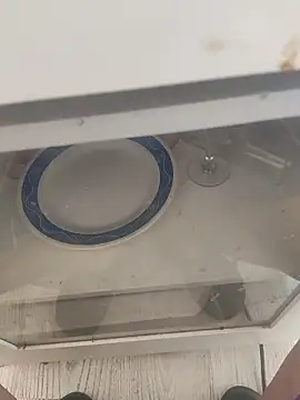 Snapshot of lunaxxxtreme chatting on 11, 11, 2025 lunaxxxtreme online show from 11, 11, 2025