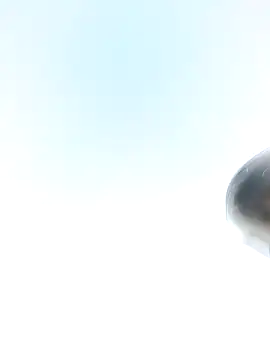 Snapshot of chootkapyasa007 chatting on 21, 1, 2025 chootkapyasa007 online show from 21, 1, 2025