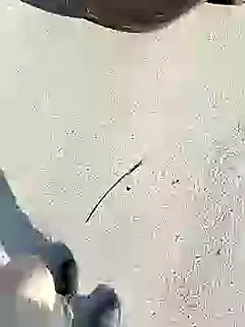 Snapshot of chootkapyasa007 chatting on 27, 1, 2025 chootkapyasa007 online show from 27, 1, 2025