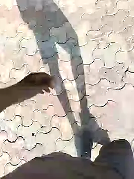 Snapshot of chootkapyasa007 chatting on 13, 9, 2025 chootkapyasa007 online show from 13, 9, 2025