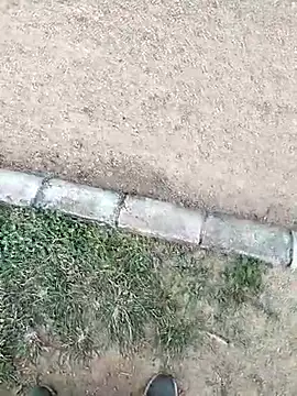 Snapshot of chootkapyasa007 chatting on 16, 10, 2025 chootkapyasa007 online show from 16, 10, 2025