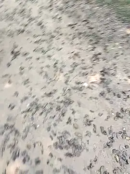 Snapshot of chootkapyasa007 chatting on 22, 10, 2025 chootkapyasa007 online show from 22, 10, 2025