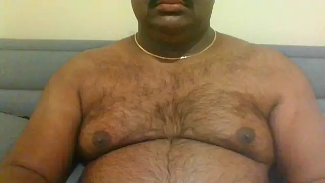 indianbearbot online show from 11, 1, 2025