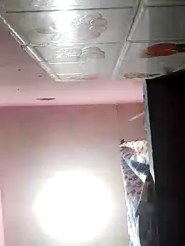 dannyD06969 online show from 11, 1, 2025