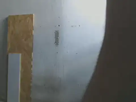 gatoalex89 online show from 17, 2, 2025