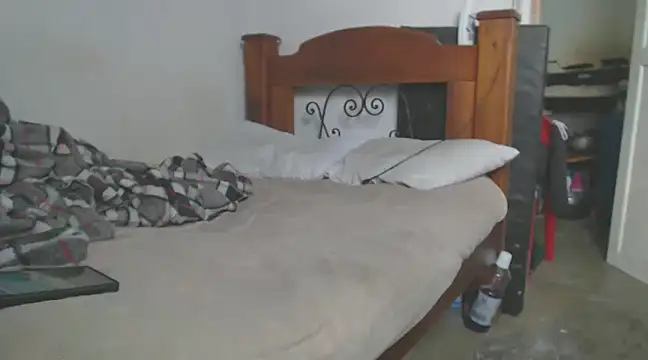 gatoalex89 online show from 13, 3, 2025