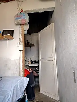 gatoalex89 online show from 9, 1, 2026