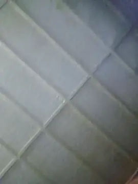 zaneporter46 online show from 5, 2, 2026