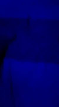ddmgfkdmyf online show from 18, 3, 2025