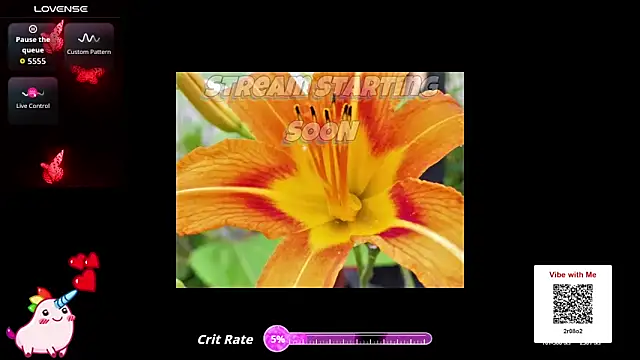 Hackensackneil online show from 25, 3, 2026