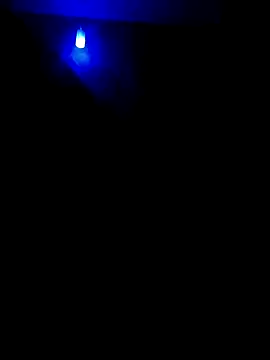 dreamers dick online show from 2, 1, 2025