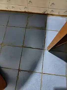 dreamers dick online show from 9, 1, 2025