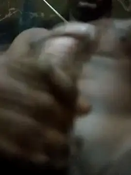 rodrig2107 online show from 11, 4, 2026