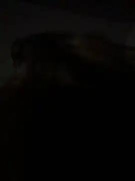 Kitty DaCocks online show from 7, 1, 2026