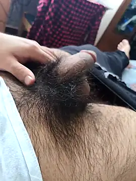 pitorico bb online show from 5, 11, 2025