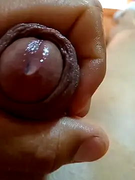 mmarvis za78 93 21cm online show from 24, 1, 2025