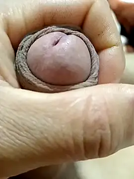 mmarvis za78 93 21cm online show from 23, 2, 2025