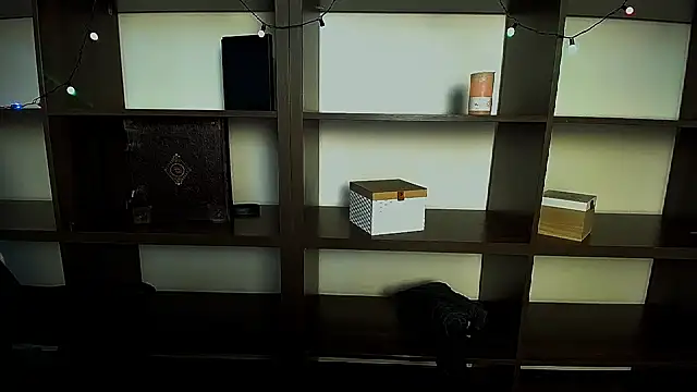 Lexi Jous online show from 11, 2, 2025