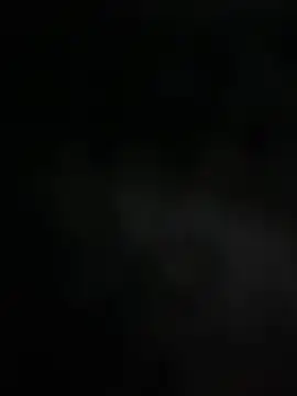 mdnn77 online show from 19, 2, 2025