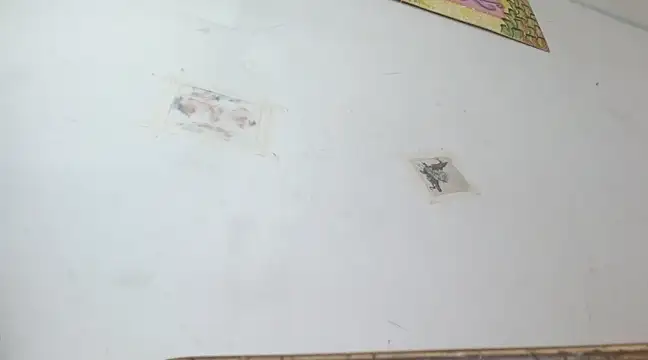 boysLittle online show from 14, 2, 2025