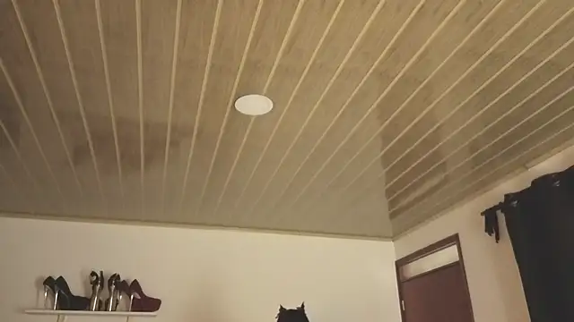 Snapshot of Renaxi_Smith chatting on 31, 10, 2025 Renaxi Smith online show from 31, 10, 2025