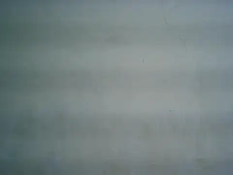 michel1520 online show from 19, 3, 2026