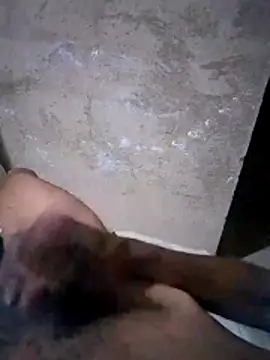 1662 online show from 20, 11, 2025