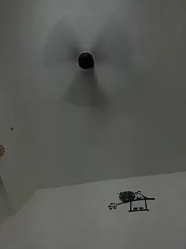 DrinkLikeFish online show from 23, 2, 2025