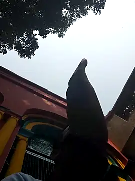 Snapshot of xx54362 chatting on 1, 3, 2025 xx54362 online show from 1, 3, 2025