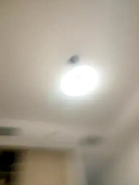 SexySophiaax online show from 20, 10, 2025