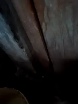 Raj41 online show from 28, 11, 2025