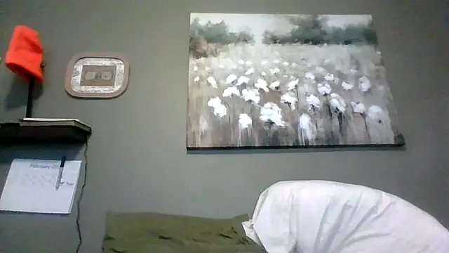 HarvryBlaze online show from 16, 2, 2026